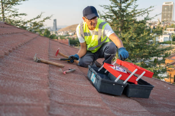 Best Demolition Debris Removal  in Ball, LA